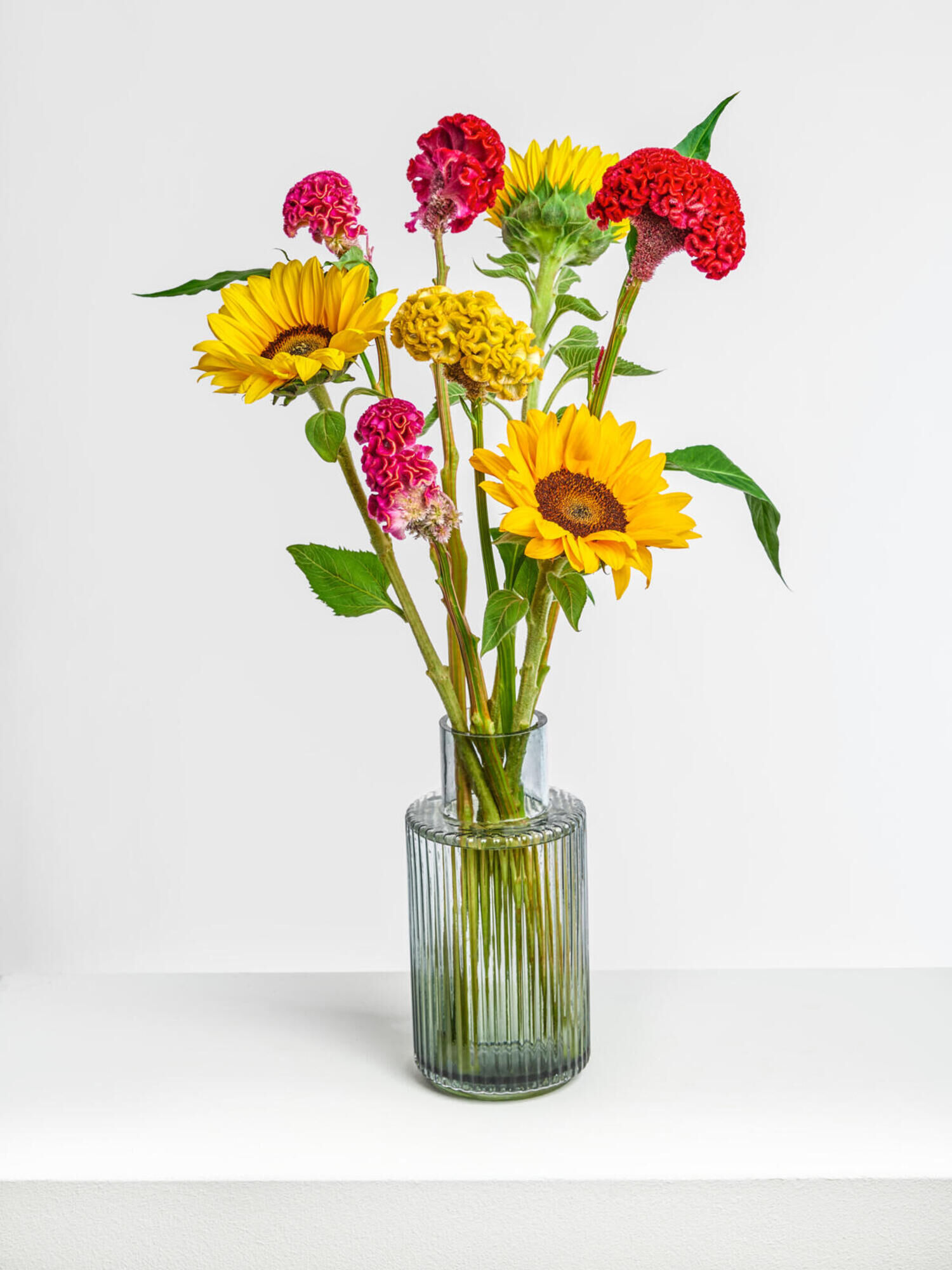 Sunflower &amp; Celosia