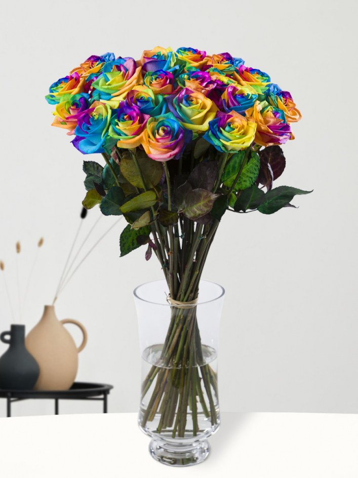 20 Regenbogen Rosen